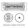 Masturbador Masculino Virgin skin Vagina y Ano