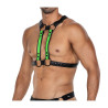 H4RNESS06 Arnes de Pecho 4WAY Verde Talla Unica
